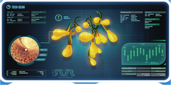 Creepvine Seed Cluster DB