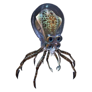 Krabbenkalmar Subnautica Wiki Fandom krabbenkalmar-subnautica-wiki-fandom