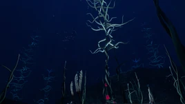 ЮжныеКровавыеВодорослиПейзаж1