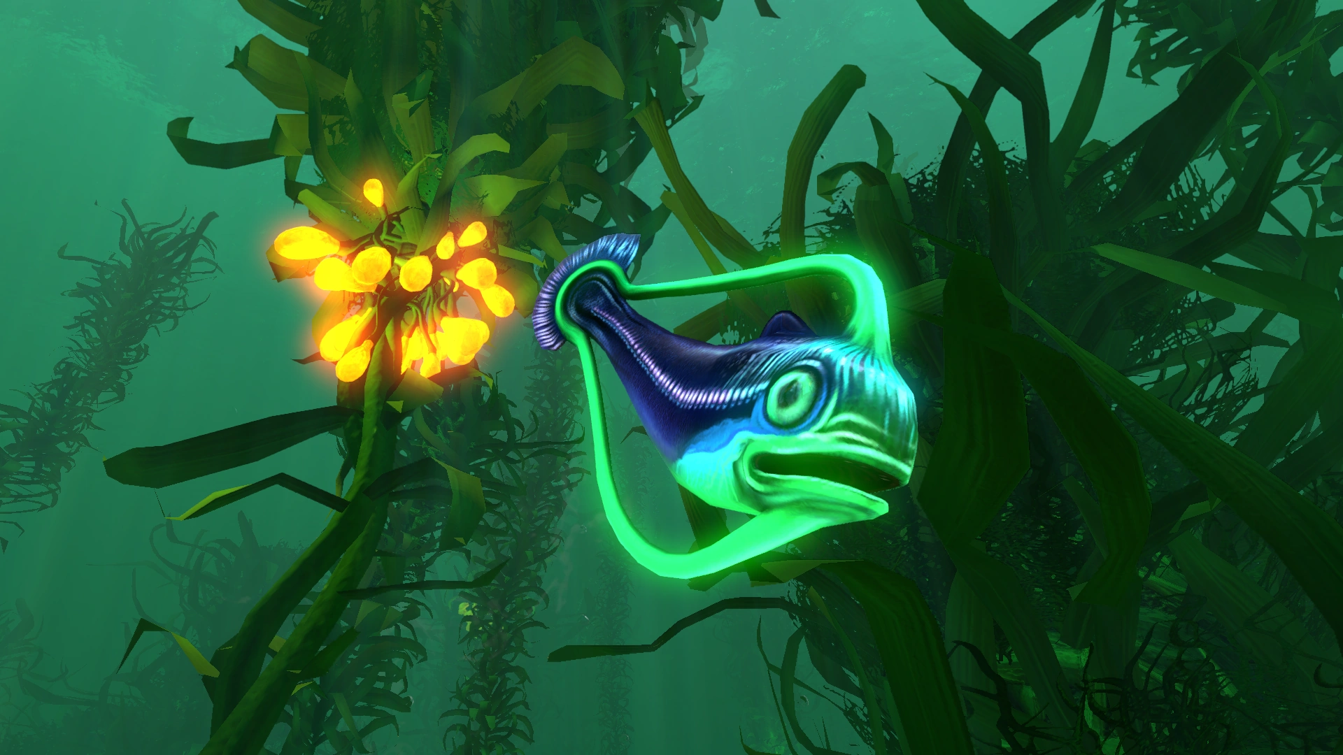Subnautica 2 bioreactor fish fuel — Kelp Forest guide