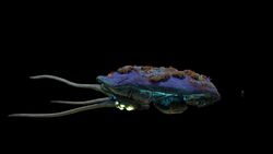 pic Subnautica Reefback Egg reefback leviathan subnautica wiki