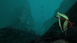 СеверныеКровавыеВодорослиПейзаж2