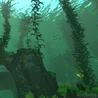 Kelp Forest