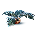 Small Marblemelon Icon