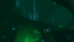 BKZs5.png (875 КБ) Промежуточная зона между Затерянной рекой и южной Зоной кровавых водорослей