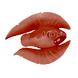 Cured Feather Fish Icon