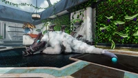 Preston resting in the greenhouse