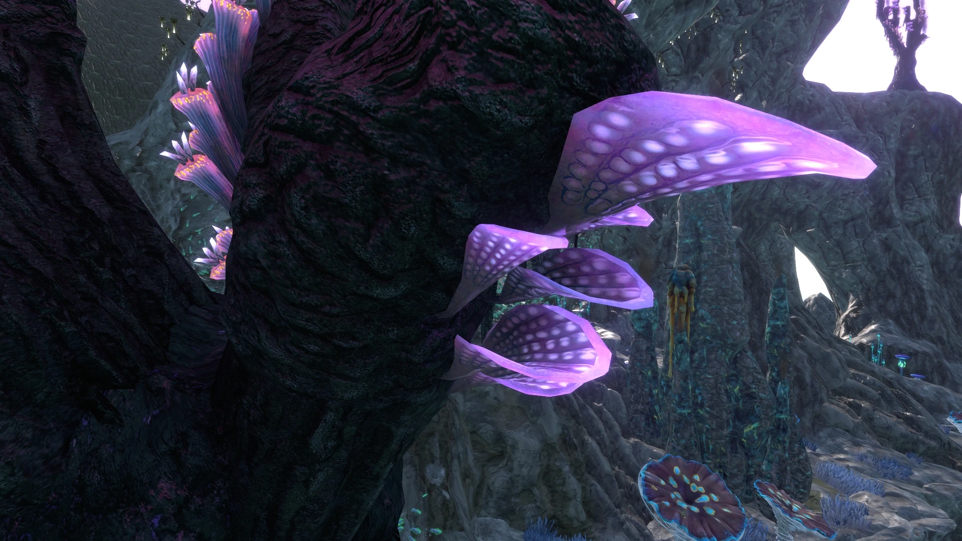 Как добыть образец пластинчатого коралла в subnautica