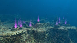 Purple Vents Biome