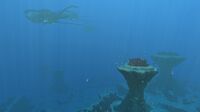 A view of the Grassy Plateaus, featuring a pod of Reefbacks from afar.