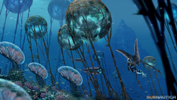 Seanstrean Reef - Medievia Wiki