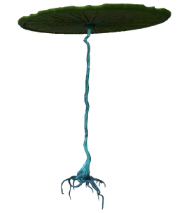 Lilypad Flora