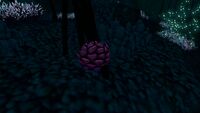 Purple Pinecone