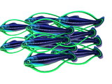 Shoal of Fish (Subnautica)