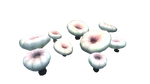 Tiefenpilz2