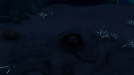 Лунка с титаном.