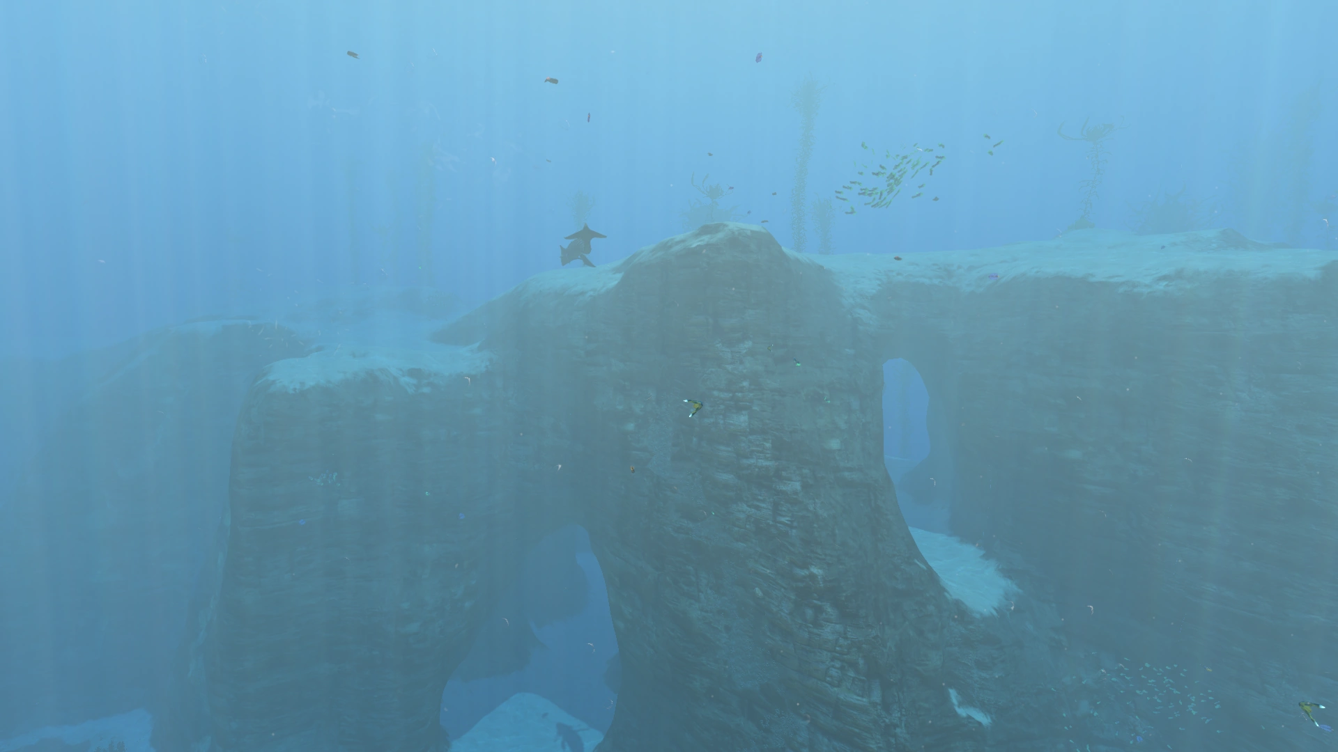 Subnautica 2 food and water sustain loop — Shallow Reef guide