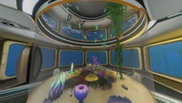 Plusieurs Poisson-Collier dans une Unité de confinement pour Aliens
