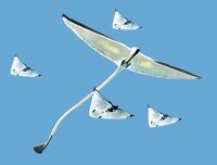 Dragonfly.jpeg (164 KB) Skyrays