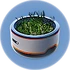 Plant Pot.png