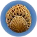 Röhrenkorallenprobe
