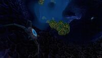 Cave Crawlers in the Underwater Islands Caves