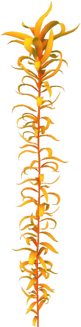 Creepvine Flora (BZ)