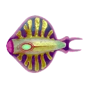 Cured Discus Fish Icon