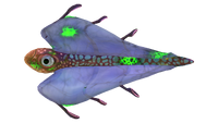 Infected Bladderfish