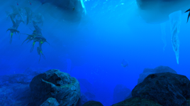 Sparse Arctic Biome -Updated-