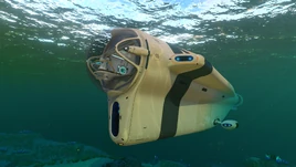 МодельЦиклопа