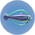 Hoopfish.png