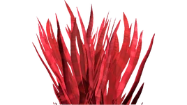 Blood Grass Flora