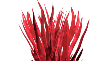 Blood Grass Flora