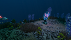 STP Flora.png