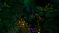 A Hydrothermal Vent along with a few flora species surrounding it