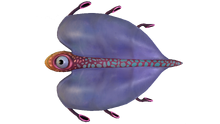 Airsack Fauna.png