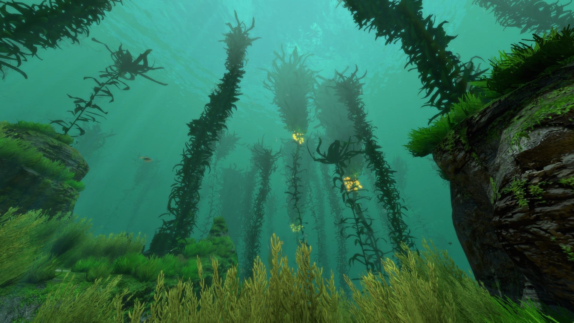Forets D Algues Wikia Subnautica Fandom