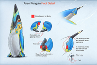 Details on the Pengwing's foot design and movement - by Alex Ries