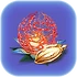 Red Basket Plant Seed