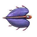 Bladderfish Icon