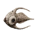 Cooked Arctic Peeper Icon
