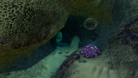 The bottom entrance to the cave inside the Giant Tree Mushroom, with a Brain Coral nearby