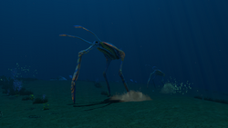 STP Sea Treaders.png