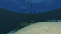 The transition with the Kelp Forest