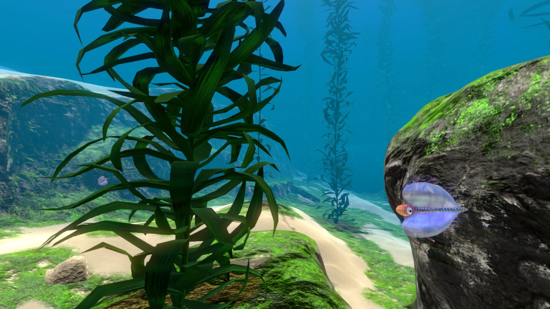 Subnautica 2 Kelp Forest stalker caves — Kelp Forest guide