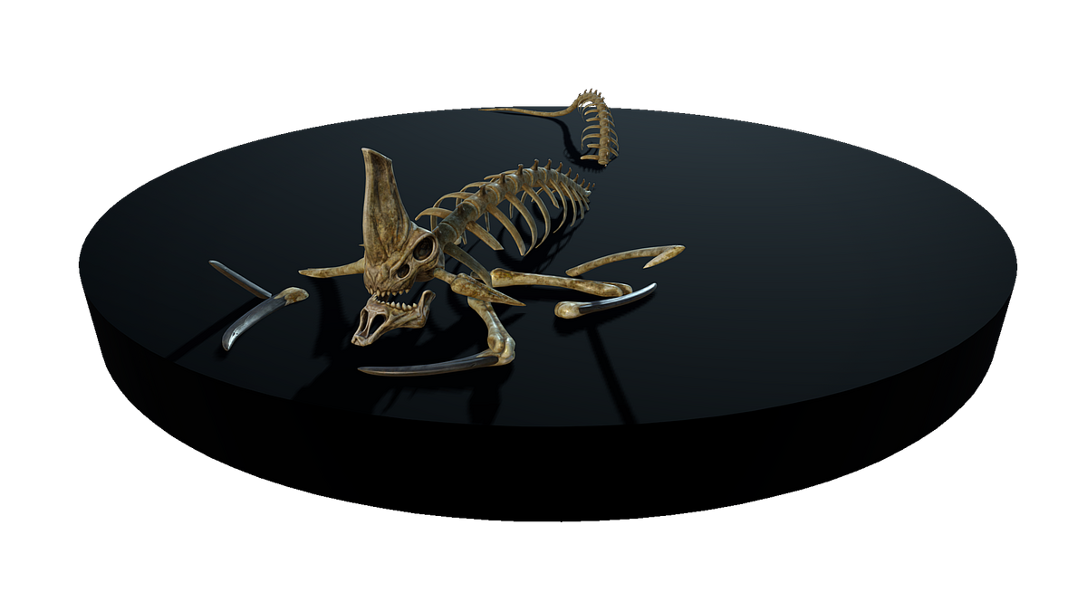 real leviathan skeleton