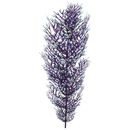Cave Bush Flora