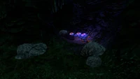 Small rocks and Acid Mushrooms inside the Cache's tunnel