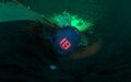 Lifepod 19